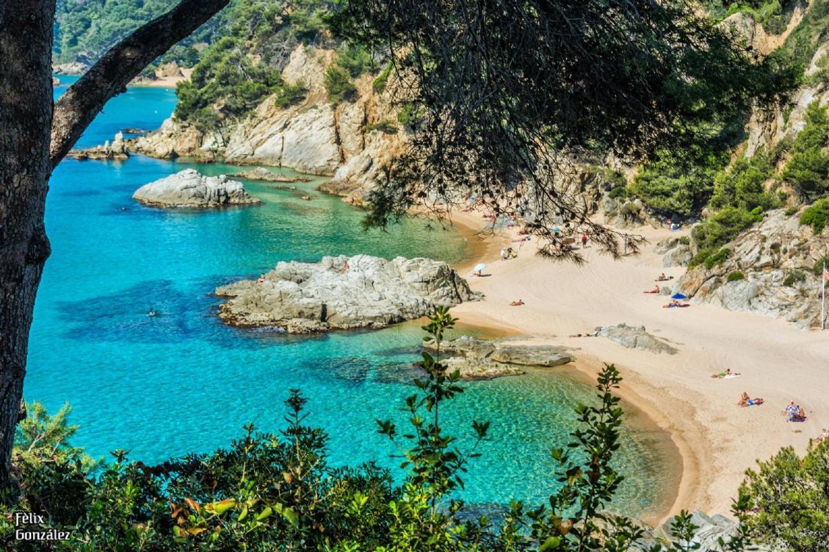 Al11 Apartamento Albert Lloret de Mar Kültér fotó
